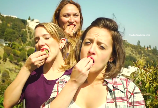 Women Eating Strawberries In Garden Foodie Gardener