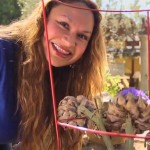 Garden export shirley bovshow explains artichoke flowers