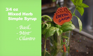 Recipe For Mixed herb simple syrup Foodie gardener