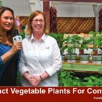 Shirley Previews Burpee Home Garden Plants for Containers
