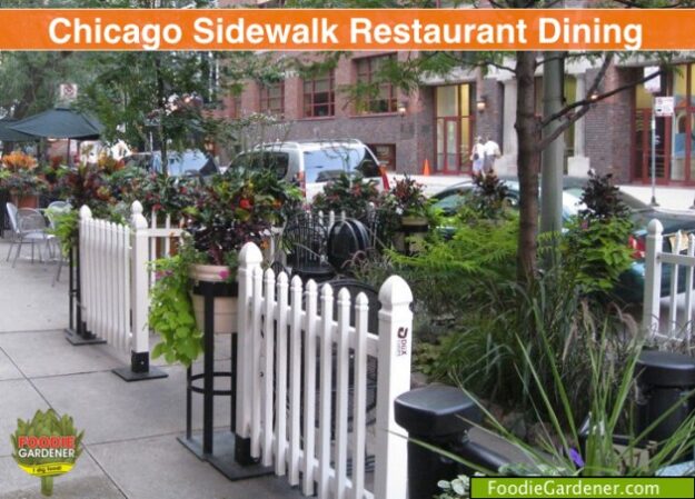 Foodie Gardener spied an intimate dining spot in a busy downtown Chicago street. Add picket fence and flowers and sit down and dine!