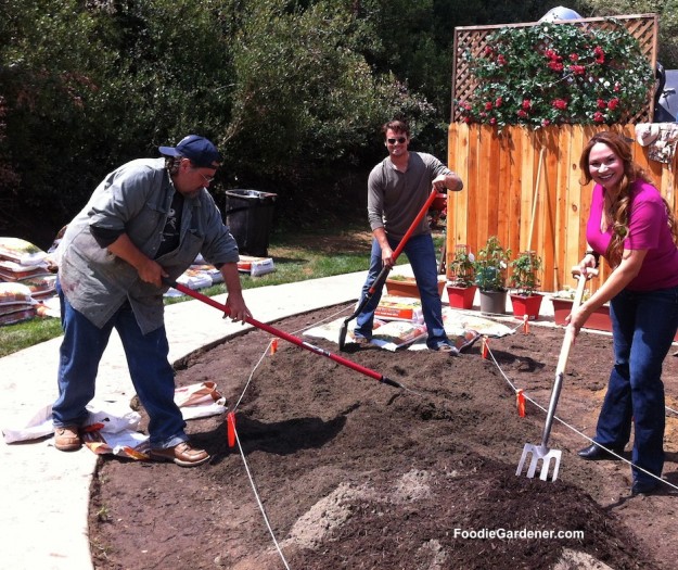 shirley crew veggie garden
