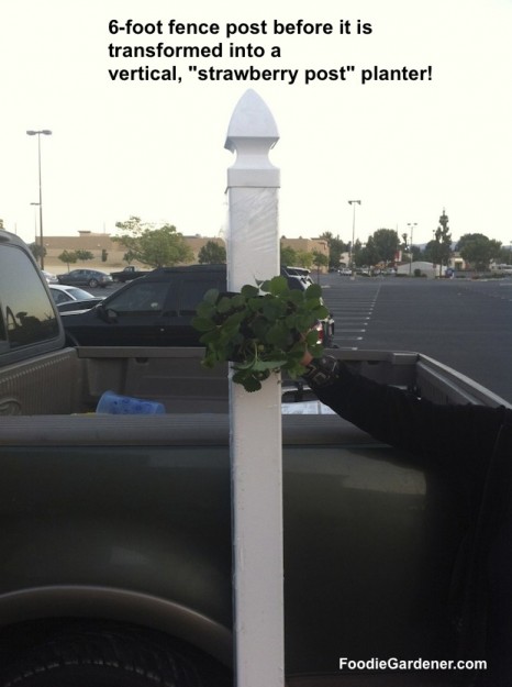 Vinyl Fence post before strawberry post conversion