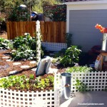 Home and Family show vegetable garden by shirley bovshow