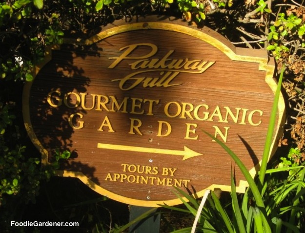 sign restaurant chef gourmet organic garden