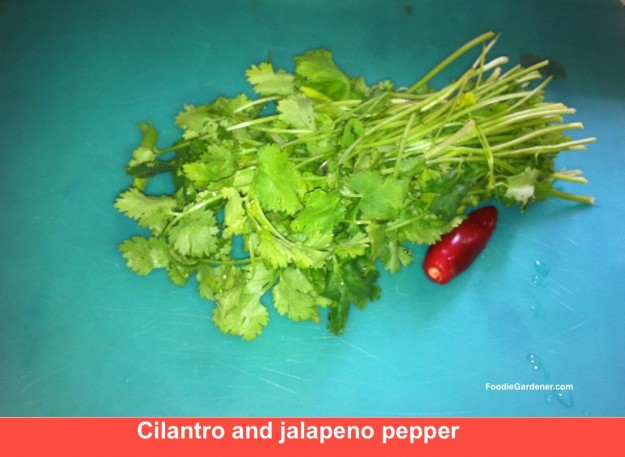 cilantro and jalapeno ready to be diced