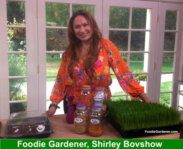 shirley bovshow presents on sprouting seeds on home and family show, hallmark channel