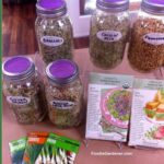 sprouted seeds, nuts and beans with seed packets