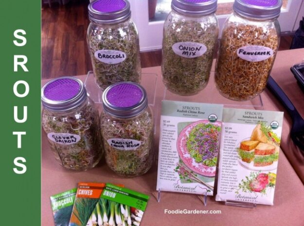 sprouted seeds, nuts and beans with seed packets