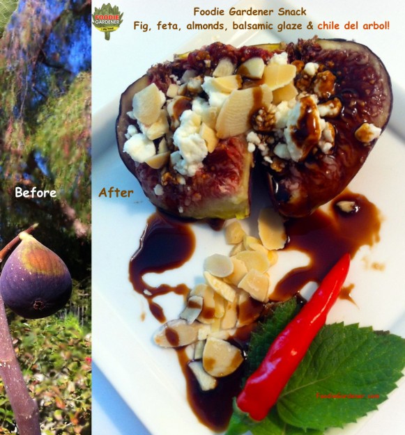 Fig on a tree, then prepared with feta cheese, almond slivers, balsamic glaze and chile del arbor.