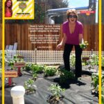 cristina ferrare loves her vegetable garden by shirley bovshow on Home and Family show