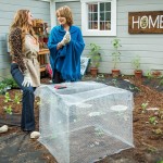 shirley bovshow and cristina ferrare build a critter control plant protector cage made from 1/4 inch garden mesh for vegetable garden on Home & Family show