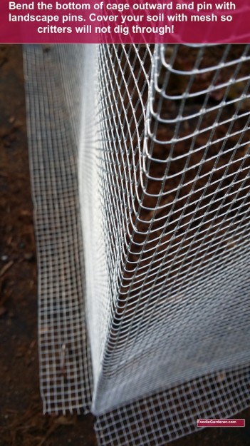 bottom of garden mesh plant protection cage