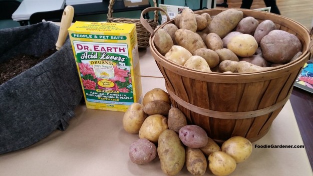 grow potatoes in grow bag organically foodie gardener