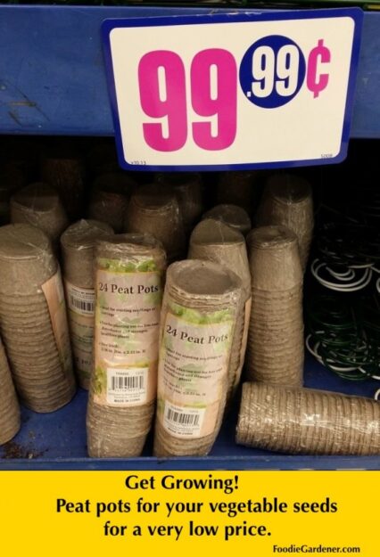 24 peat pots at 99 cent store foodie gardener