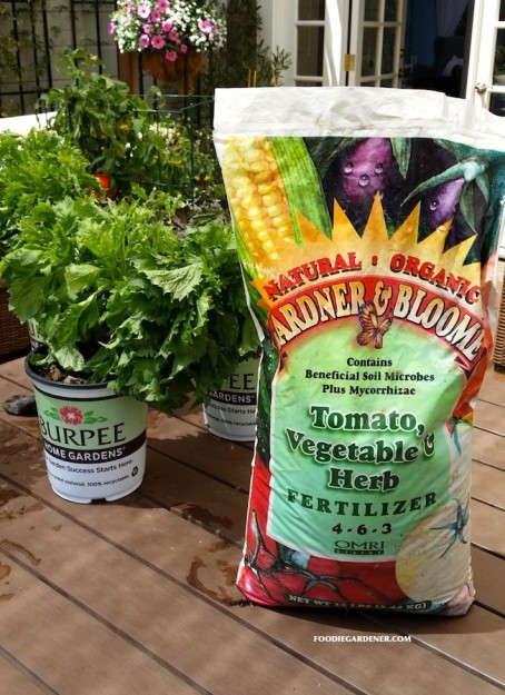 burpee home gardens gardner and bloome tomato vegetable herb fertilizer foodie gardener