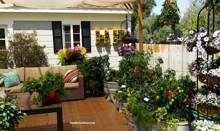 patio with container vegetable garden and entertaining sitting area foodie gardener