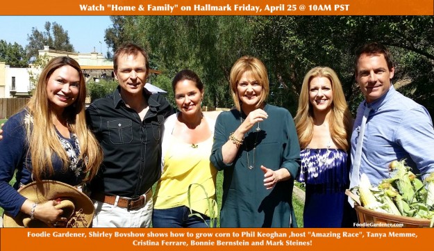 shirley bovshow teaches how to grow corn to phil keoghan tanya memme cristina ferrare mark steines bonnie bernstein home and family show