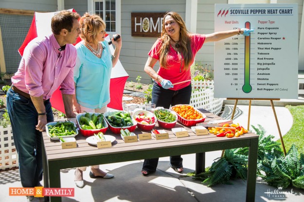 foodie gardener edible garden expert and designer shirley bovshow with mark steines cristina ferrare explaining scoville pepper heat chart home and family show hallmark channel