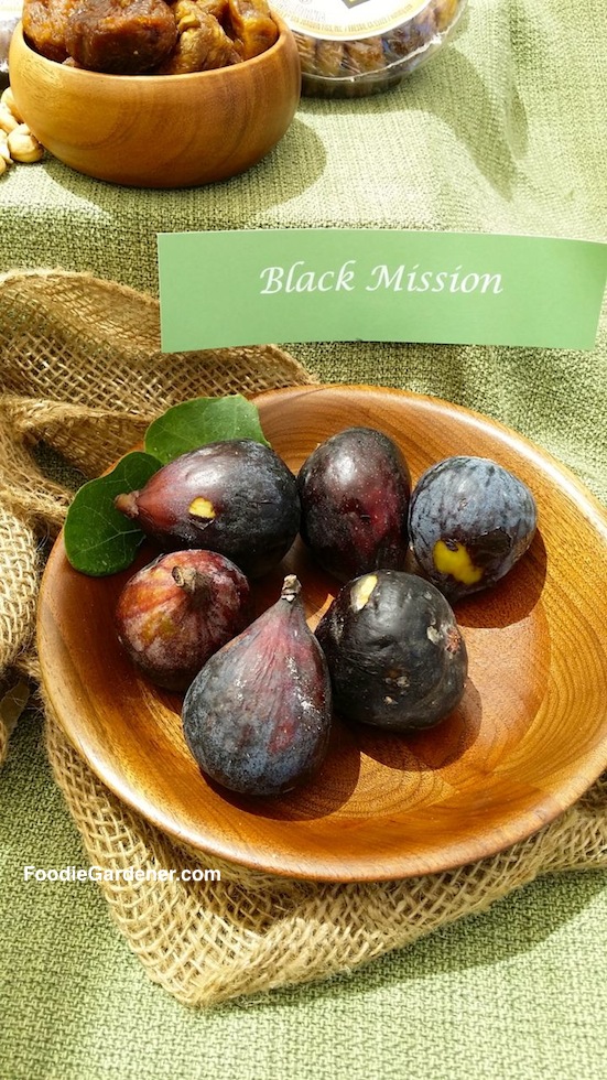 fresh black mission figs in bowl foodie gardener shirley bovshow