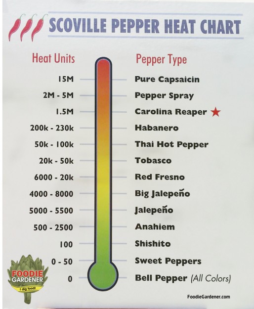 Foodie Gardener Scoville Pepper Heat Chart foodiegardener
