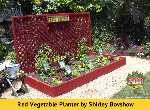 Red Raised Vegetable Planter Shirley Bovshow FoodieGardener