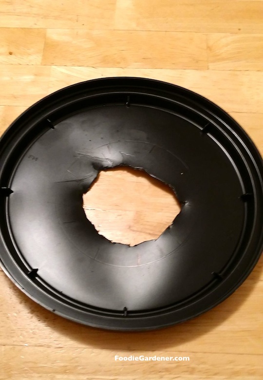 black plastic container cover with hole for net pot foodie gardener