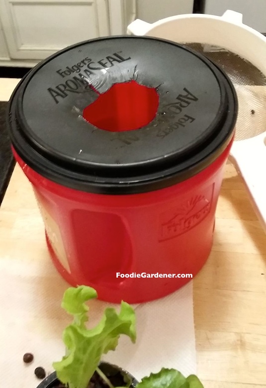folgers coffee container top with hole for net pot hydroponic lettuce planter foodie gardener