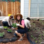 garden designer expert shirley bovshow planting the cool season garden home and family show