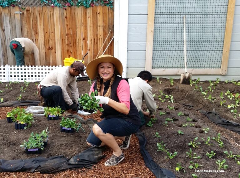 garden designer expert shirley bovshow planting the cool season garden home and family show