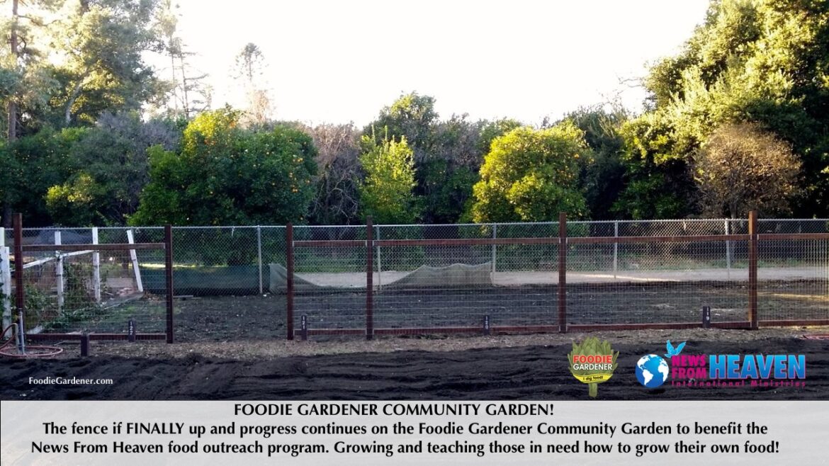 FOODIE GARDENER COMMUNITY GARDEN fence