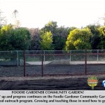 FOODIE GARDENER COMMUNITY GARDEN fence