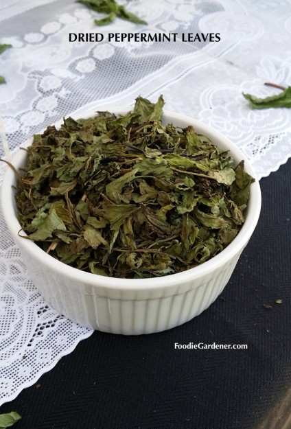 dried peppermint leaves foodie gardener blog