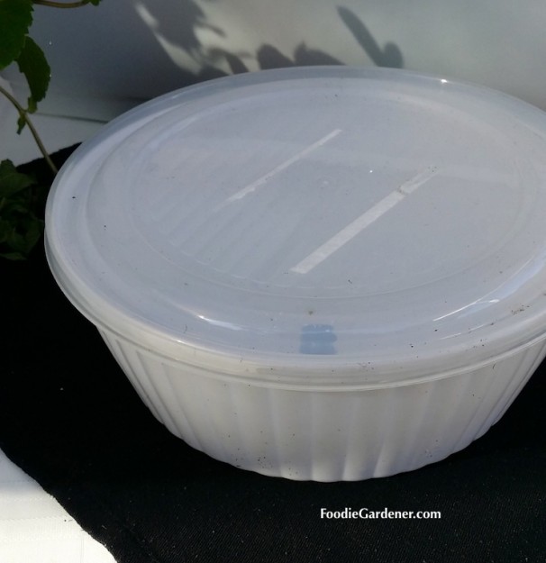 white covered microwave container used as planter foodie gardener blog