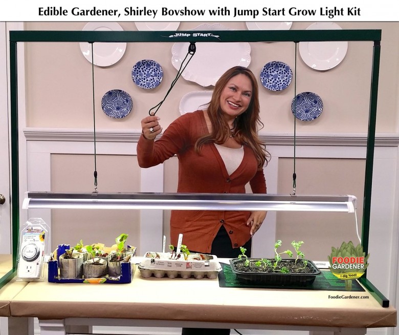 foodie gardener edible designer shirley bovshow hydrofarm jumpstart grow light kit home and family show hallmark channel foodie gardener blog