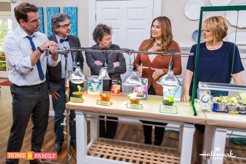 garden designer expert shirley bovshow teaches grow lights 101 on home and family show host of revenge of the nerds and hosts mark steines cristina ferrare home and family show hallmark channel
