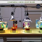 grow lights compared foodie gardener shirley bovshow