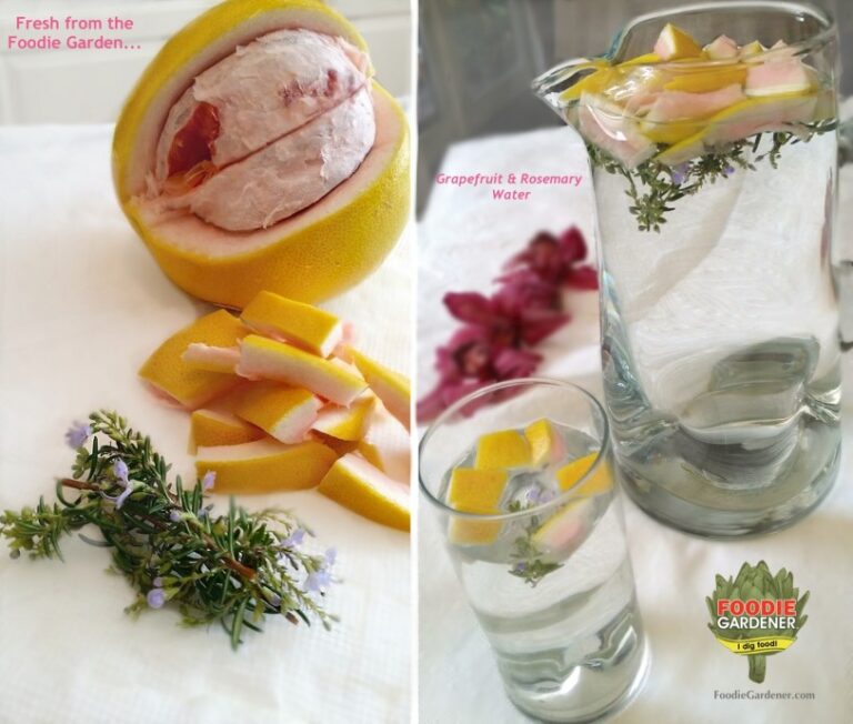 fresh from the foodie garden grapefruit rosemary water foodiegardener.com