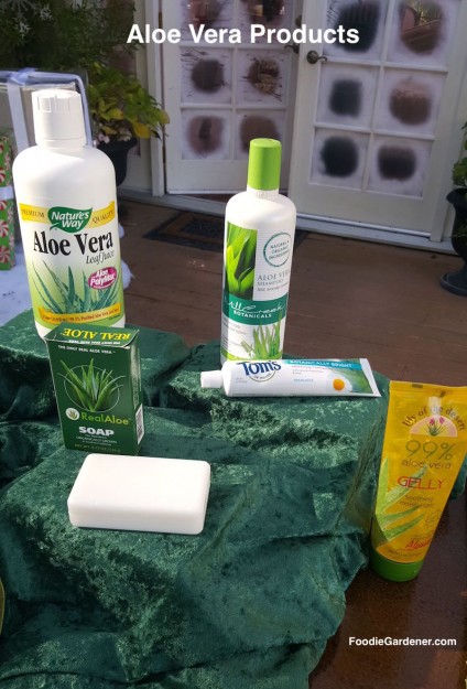 aloe-vera-products-juice-tonic-shampoo-toothpaste-soap-aloe-vera-gel-foodie-gardener-blog