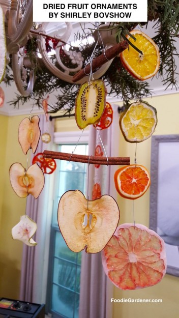 dried-fruit-ornaments-apples-cinnamon-sticks-pomelo-limes-kiwi-tomatoes-green-apples-designed-by-shirley-bovshow-foodie-gardener