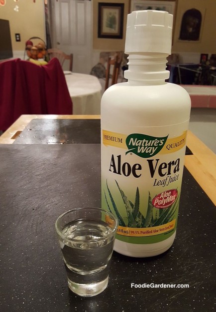 shot-of-aloe-vera-leaf-juice-for-digestion-aid-foodie-gardener-blog