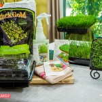 GROW-MICROGREENS-WHEATGRASS-INDOORS-SHIRLEY-BOVSHOW-GARDEN-LANDSCAPE-DESIGNER-HOME-AND-FAMILY-SHOW-HALLMARK-EDENMAKERSBLOG