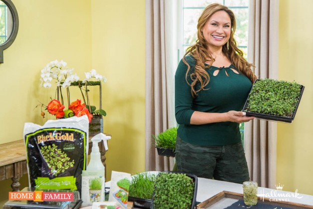 LANDSCAPE-EDIBLE-GARDEN-DESIGNER-SHIRLEY-BOVSHOW-GROWS-WHEATGRASS-MICROGREENS.