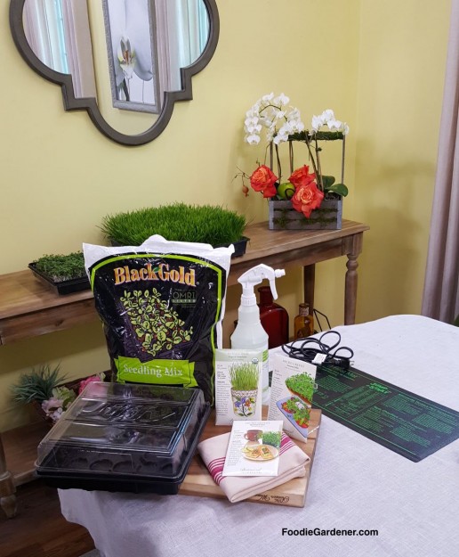 MATERIALS-FOR-GROWING-WHEATGRASS-MICROGREENS-INDOORS-FOODIE-GARDENER