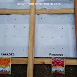 SEED-MATS-CARROTS-RADISHES-FOR-SQUARE-FOOT-GARDEN-WITH-COLOR-SEEDS-FERRY-MORSE-FOODIE-GARDENER-BLOG