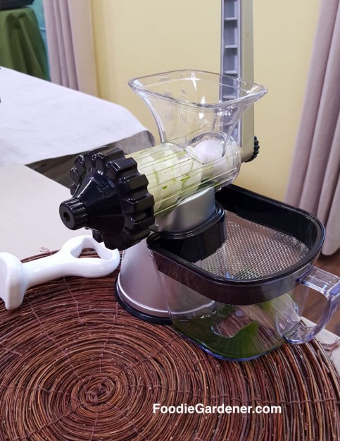 macerating-juicer-with-wheatgrass